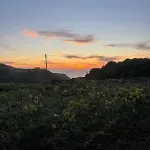Les Oliviers Sunset Sea View On Petani Σπίτι διακοπών
