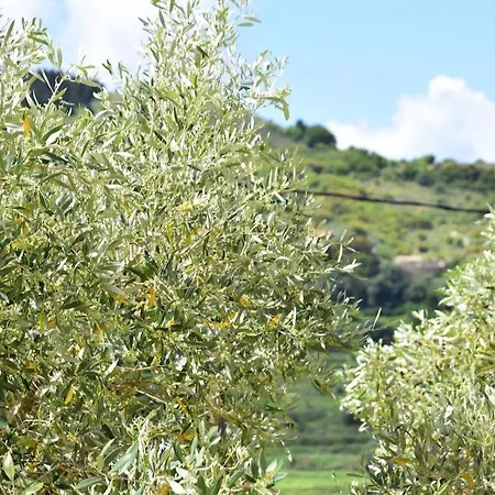 Les Oliviers With Sea View On Petani בית נופש