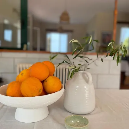 Les Oliviers With Sea View On Petani *