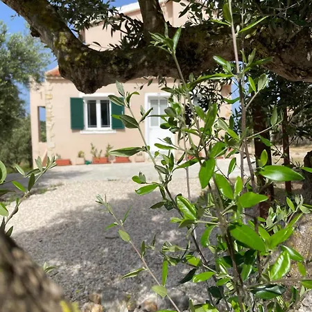 Ferienhaus Les Oliviers With Sea View On Petani