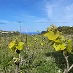 Tatil Evi Les Oliviers Sunset Sea View On Petani Vóvikes