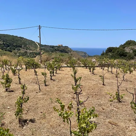 Les Oliviers With Sea View On Petani Feriehus Vóvikes