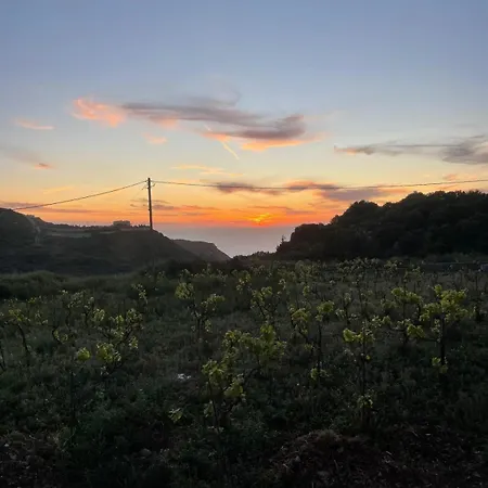 Les Oliviers Sunset Sea View On Petani 別荘