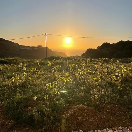 別荘 Les Oliviers Sunset Sea View On Petani