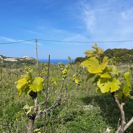 Holiday home Les Oliviers With Sea View On Petani Vovikes