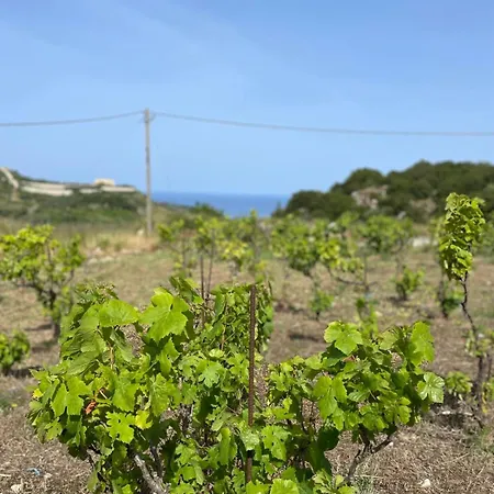 Les Oliviers With Sea View On Petani * Vóvikes